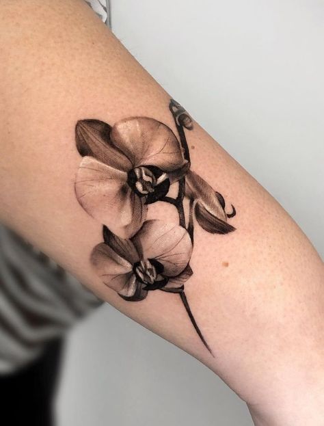 30+ Orchid Tattoos: Meanings, Tattoo Designs & Ideas Orchid Tattoo Black And White, Best Sleeve Tattoos For Women, Watercolor Orchid Tattoo, Purple Orchid Tattoo, Orchid Tattoo Meaning, Orchid Tattoos, Orchid Flower Tattoos, Tattoo Dotwork, Orchid Tattoo