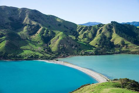 Hiking the Cable Bay Walkway, Nelson | See the South Island NZ Travel Blog Kiwi Aesthetic, Nz South Island, Nelson New Zealand, Nelson Bay, Environment Reference, New Zealand Adventure, Nz Travel, West Papua, Travel Vibes