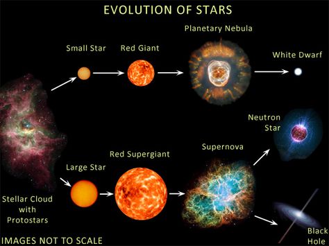 Space Theology (Astrotheology): Stellar evolution or lifecycle of stars? Planetary Nebula, Astronomy Facts, Neutron Star, Planetary Science, Earth And Space Science, The Planets, The Solar System, Earth From Space, Space Science