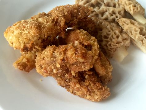 If you haven’t had a fried morel mushroom, you are not truly Iowan. These gorgeous little earthy nuggets are a celebration when they appear in late April, in Iowa. I’m no mushroom hunte… Fried Morels Recipe, Morel Recipes, Morel Mushroom Recipes, Morel Mushroom, Mushroom Hunting, Mushroom Recipes, Fried Chicken, Iowa, Main Dishes