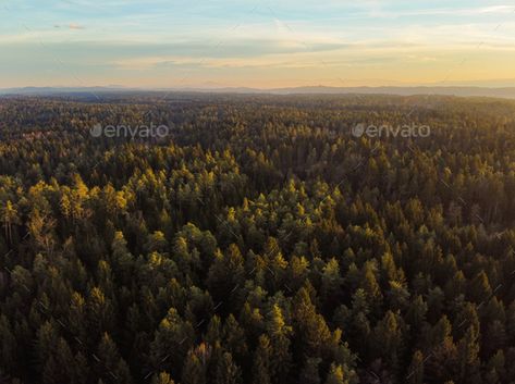 Autumn forest aerial view from above by IciakPhotos. Autumn forest aerial view from above during sunset #Sponsored #aerial, #forest, #Autumn, #sunset Forest From Above Drawing, Aerial Forest, Forest From Above, Magic Landscape, Canadian Forest, Autumn Sunset, View From Above, Forest View, Fantasy Forest