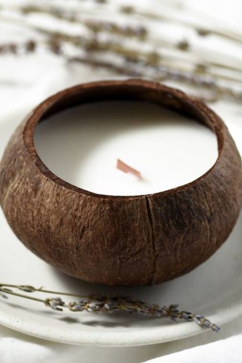 Contact To Seller: Ms. Snowie WhatsApp : +84 865783041 Mail: sale01@eco2go.vn Coconut Shell Candle, Coconut Shell Bowl, Candle Bowls, Candle Bowl, Shell Bowl, Coconut Candle, Buy Candles, Candle Jar, Bowl Candle