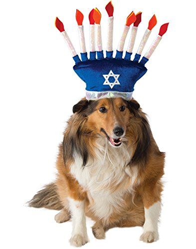 $8.93 ** Click image for more details. (This is an affiliate link) #DogApparelAccessories How To Celebrate Hanukkah, Dog Hat, Dog Costume, Cat Hat, Weimaraner, Pet Costumes, Costume Hats, Menorah, Pet Gifts