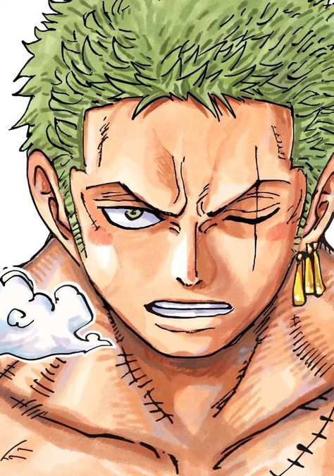 Roronoa Zoro, Anime Character, One Piece, On Twitter, Twitter, Green, Hair, Anime