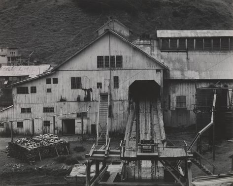 Sonya Noskowiak, Old Lumber Mill at Albion, California, 1937 · SFMOMA Logging Industry, Lumber Mill, San Francisco Museums, Environment Design, Museum Of Modern Art, Lumber, Minecraft, Modern Art, San Francisco