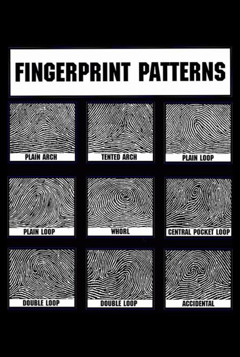 A spy needs references with his fingerprint tools what better way then a chart. Put with a diy fingerprinting kit makes a great addition to a spy birthday party full of spy gear. Field Agent Aesthetic, Diy Spy Gear, Diy Spy Kit, Secret Spy Aesthetic, Police Knowledge, Spy Aesthetics, Detective Tools, Secret Agent Aesthetic, Detective Training