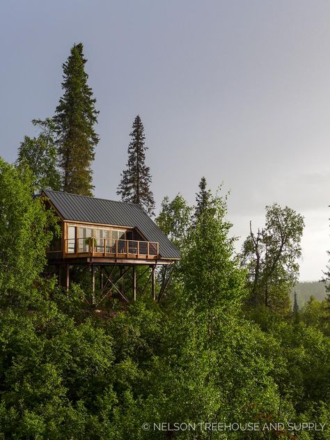 A cozy A-frame treehouse at the McKinley Princess Wilderness Lodge in Alaska! Mountain Tree House, Exterior Paneling, Treehouse Masters, Wood Burning Techniques, Tree Fort, Cool Tree Houses, House On Stilts, Tree House Designs, Tree Houses