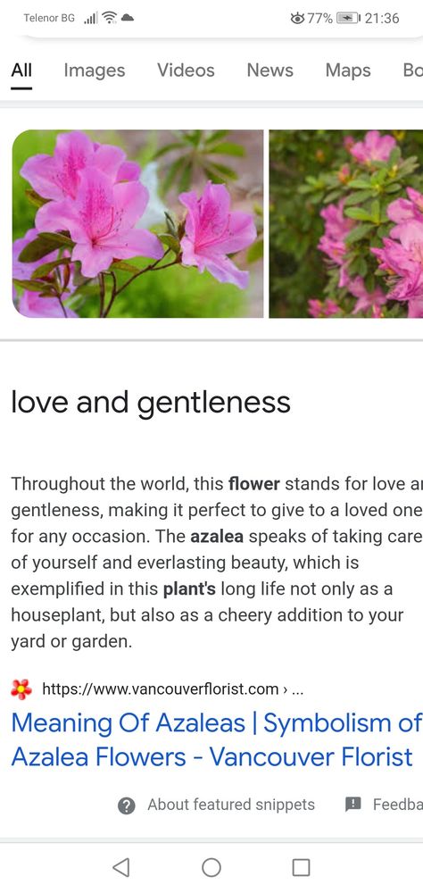 Azalea Flower Meaning, Azalea Name Meaning, Azalea Flower Bouquet, Azalea Meaning, Azalea Flower Tattoo, Azalea Tattoo, Grimoire Ideas, Fav Flower, Flower Magic