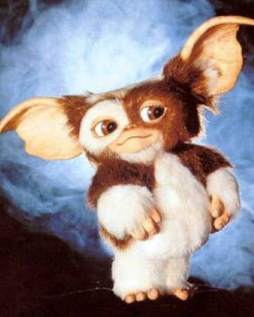 Gizmo from Gremlins. Gizmo is so cute. Gremlins Art, Gizmo Gremlins, The Gremlins, Mexican Quotes, Weird Creatures, Christmas Drawing, Gremlins, Horror Movies, Sailor Moon