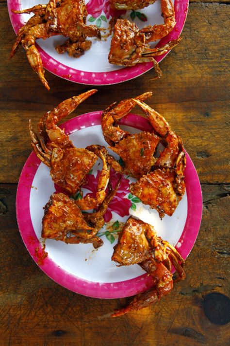 Pan-Fried Crabs in Chipotle Sauce (Jaibas Enchipotladas) Blue Crab Recipes, Mexican Appetizers, Crab And Lobster, Chipotle Sauce, Crab Recipes, Blue Crab, Fried Food, Summer Blue, Seafood Dishes