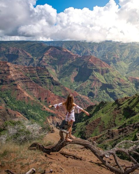 Hawaii Hikes, Kauai Travel, Kauai Vacation, Waimea Canyon, Travel Moments, Kauai Hawaii, Destination Voyage, Top Travel Destinations, Hawaii Island