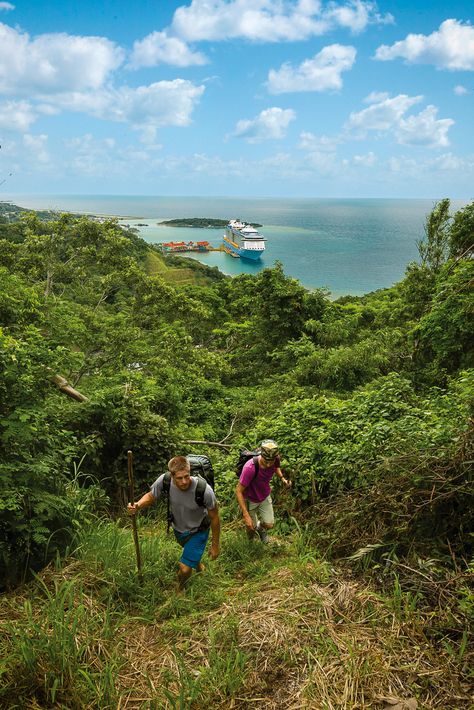 Roatán, Honduras | Take the path less traveled for ultimate bragging rights on a Western Caribbean cruise. Explore Roatán's mangrove forests, dense jungles, and white-sand beaches. Snorkel in the world-famous waters to see the world’s second-largest barrier reef firsthand. And explore laid-back beach towns and secluded shores. Best Cruises, Western Caribbean Cruise, The Path Less Traveled, Path Less Traveled, Royal Caribbean Cruises, Beach Hammock, Roatan Honduras, Western Caribbean, Best Travel Destinations