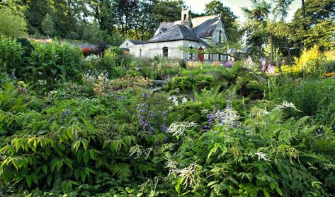 Required Reading: The Irish Garden - Gardenista Small Outdoor Garden Ideas, Patio Backyard Ideas, Small Outdoor Garden, Country Backyards, Small Patio Ideas, Garden Books, Outdoor Garden Ideas, Irish Garden, Wicklow Ireland