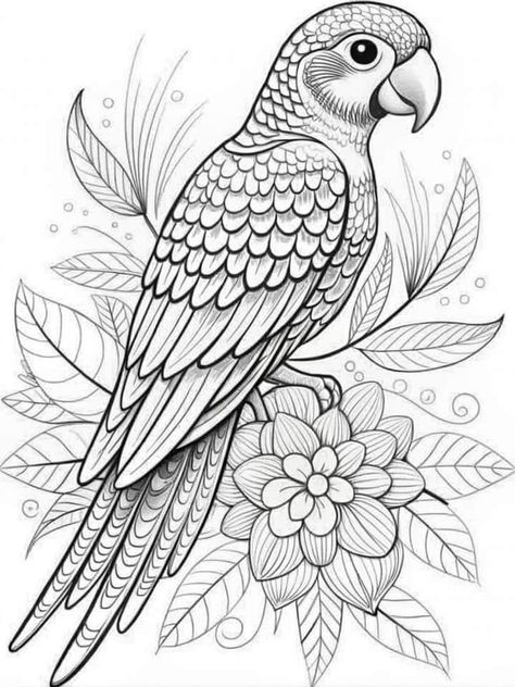 Bird Drawings Peacock, Parrot Colouring Pages, Parrot Coloring Page, Birds Coloring Pages, Parrot Drawing, Peacock Drawing, Koi Fish Drawing, Bird Coloring, Flower Pattern Drawing