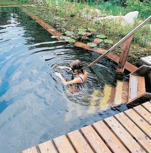 I want one of these....A "natural pool" - a beautiful, ecologically diverse system that is relatively inexpensive to construct. Natural Swimming Hole, Swimming Ponds, Natural Swimming Ponds, Backyard Pond, Swimming Hole, Pond Waterfall, Swimming Pond, Natural Swimming Pools, Natural Swimming Pool