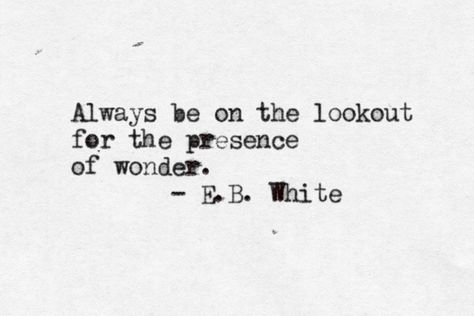 E.B. White On How to Write For Children - Writer's Life.org Famous Author Quotes, Author Quotes, Creativity Quotes, Scar Tissue, Words Worth, Yoga Quotes, Wonderful Words, Healing Journey, Quotable Quotes