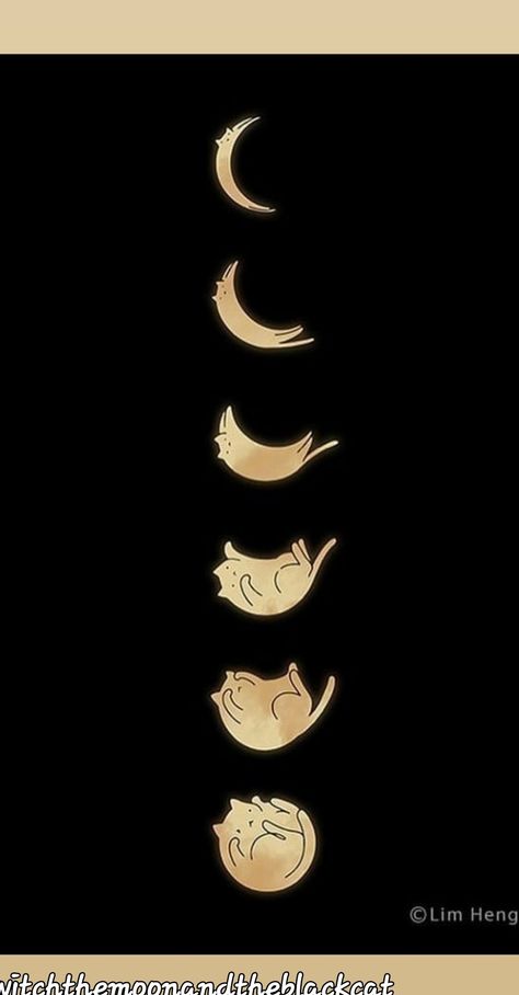 Kitty Moon Tattoo, Moon Phase Cat Tattoo, The Phases Of The Moon Tattoo, Flower Cycle Tattoo, Cat Moon Phases Tattoo, Asian Moon Tattoo, Moon Phases With Stars Tattoo, Cat Sun And Moon Tattoo, Moon Cycle Wallpaper