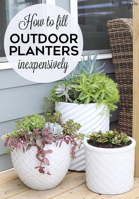 Accent Plants, Succulent Garden Outdoor, Diy Planters Indoor, Yard Crashers, Succulent Outdoor, Wood Succulent Planter, Succulent Garden Landscape, Outdoors Ideas, Large Outdoor Planters