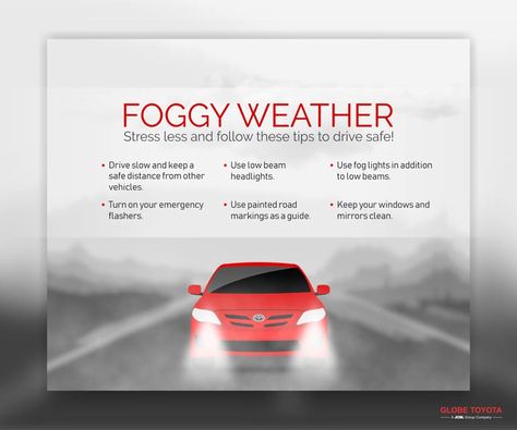 Here are the tips to drive in Fog! #fog #winters Safe Driving Tips, Tata Cars, Toyota Dealership, Foggy Weather, Safety Posters, Driving Tips, Safe Driving, Valentine Photography, Driving Safety