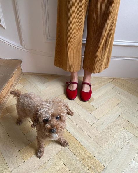 Tidy Street General Store on Instagram: “New colours of our best selling @drogheriacrivellini beautiful Mary Janes, perfect for wearing round the house and brightening your day.…” Velvet Flats Outfit, Velvet Mary Janes Outfit, Velvet Mary Janes, Mary Jane Outfit, Mary Janes Outfit, Classic Slippers, Velvet Flats, Flats Outfit, Womens Mary Janes