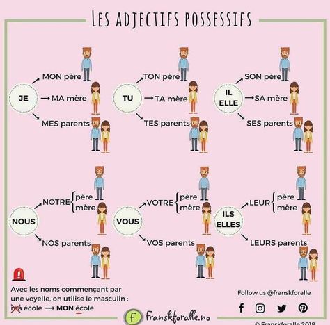 French Adjectives, Useful French Phrases, Learn French Beginner, French Basics, Possessive Adjectives, French Flashcards, Basic French Words, Study French, French Teaching Resources