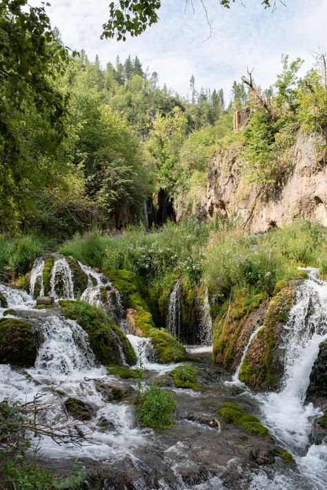 7 Day South Dakota Road Trip Itinerary: Black Hills to Badlands Lake Tahoe Itinerary, Custer State Park South Dakota, Scenery Beach, South Dakota Road Trip, South Dakota Vacation, Phuket Island, South Dakota Travel, Rivers And Roads, Black Hills South Dakota