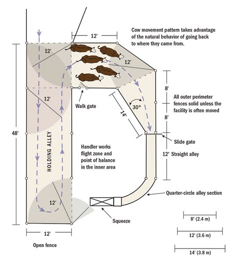 Cattle Working Pens, Cattle Barn Designs, Show Cattle Barn, Cattle Housing, Cattle Facility, Cattle Pens, Cattle Feeder, Cattle Corrals, Livestock Fence