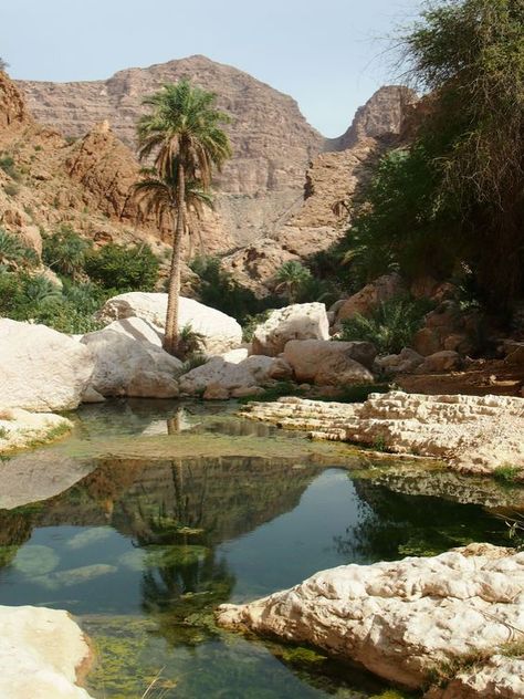 Desert Aesthetic, Desert Oasis, Jolie Photo, In The Desert, Nature Aesthetic, Hidden Treasures, Pretty Places, Travel Aesthetic, The Desert