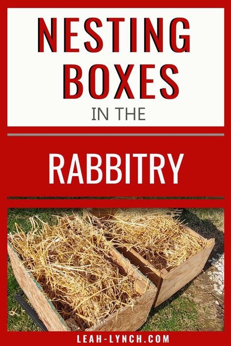 Rabbit Nest Box Diy, Diy Rabbit Nesting Box Ideas, Rabbit Nesting Box Ideas, Rabbit Nesting Box Diy, Rabbit Barn Ideas, Farm Rabbits, Rabbit Nesting Box, Rabbit Waterer, Nesting Boxes Diy