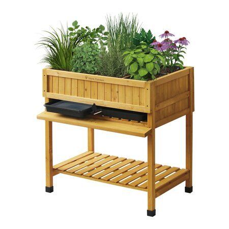 Herb Garden Bed, Small Garden Patio, Veg Trug, Tulsi Basil, Gardening Club, Home Greenhouse, Watering System, Garden Stand, Garden Life