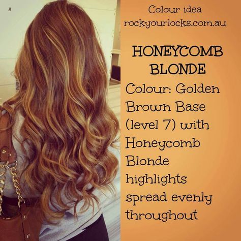 Golden Brown Base/Honeycomb Blonde Highlights                                                                                                                                                     More Hair Color For 44 Year Old, Highlight Ideas, Hair Highlight, Honey Hair Color, Golden Blonde Hair, Dye Ideas, Birthday Hair, Super Hair, Haircut And Color