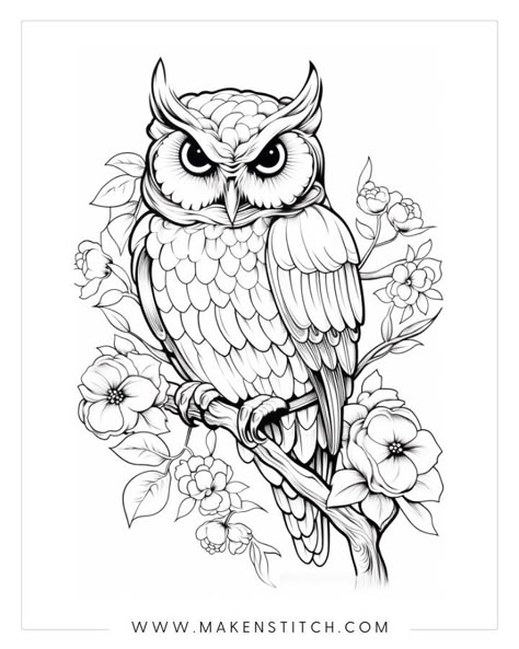 Download beautiful free owls coloring pages, featuring simple outlines and intricate designs suitable for both kids and adults. Fineline Owl Tattoo, Owl Coloring Pages Free Printable, Simple Owl Tattoo Design, Owl Outline Tattoo, Owl Tattoo Outline, Owl Tattoo Stencil, Owl Wood Burning, Sketches To Paint, Owls Coloring Pages