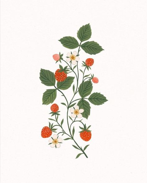 Ornamental Flowers Drawing, Wild Strawberry Drawing, Doodles Cottagecore, Strawberry Drawing Aesthetic, Fashion Sketches For Beginners, Carved Mugs, Strawberry Doodle, Floral Illustration Art, Strawberry Leaf