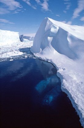 Icebergs - Polar regions fact file, Antarctica and the Arctic Ice Sheet, Sea Ice, Southern Ocean, Landscape Concept, Titanic, Facts About, Fresh Water, Float, Google Search