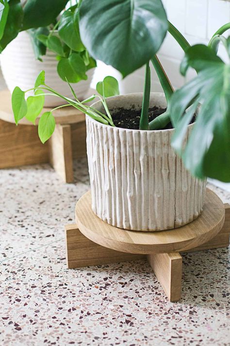 With a few simple materials, you could create your own wooden plant stand that is completely customizable. #DIY #Project #HomeDecor #Modern #PlantStand #ClearPathLending #ClearPath #Lending #Mortgage #Refinance #HomeLoan #VALoan Diy Wood Plant Stand, Wood Plant Stand Indoor, Christmas Woodworking, Indoor Plant Shelves, نباتات منزلية, Modern Plant Stand, Wooden Plant Stands, Wood Plant Stand, Diy Plant Stand