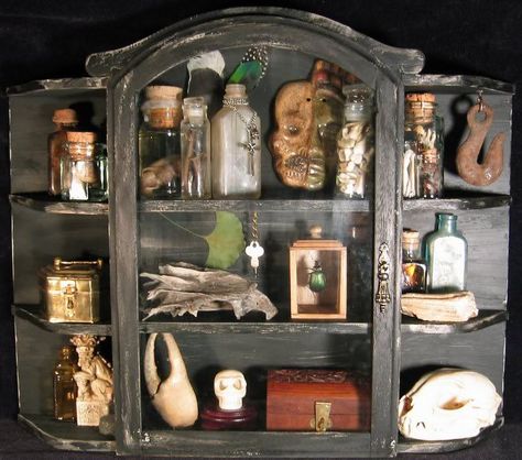 wunderkammer I should make one of these...a Cabinet of Curiosities...hmmmm Cabinet Of Curiosity, Halloween Apothecary, Goth Home, Spooky Halloween Decorations, Halloween Kitchen, Cabinet Of Curiosities, Curio Cabinet, Potion Bottle, Gothic House