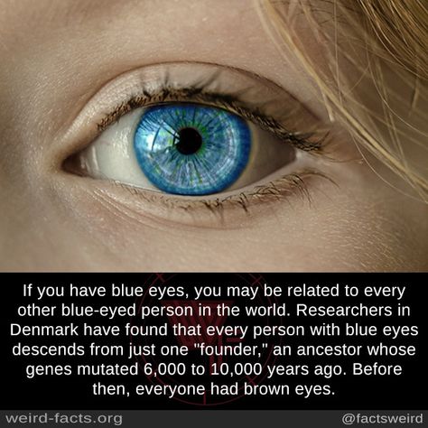 Weird Facts, If you have blue eyes, you may be related to every... Blue Eye Facts, Blue Eye Quotes, Physics Art, Eye Color Facts, Tech Photography, People With Blue Eyes, Eye Facts, Eye Quotes, Blue Quotes