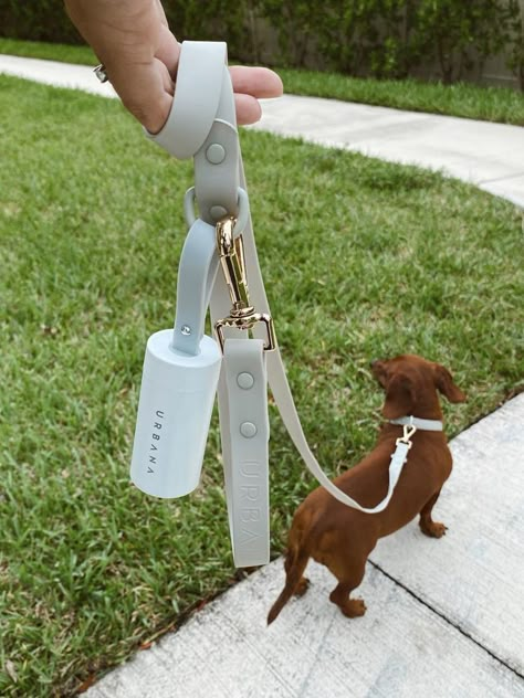 Dog Leash Accessories, Dog Meal Recipes, Preppy Dog Accessories, Aesthetic Dog Accessories, Aesthetic Dog Supplies, Dog Must Haves, Cute Dog Stuff, Small Dog Accessories, Puppy Essentials