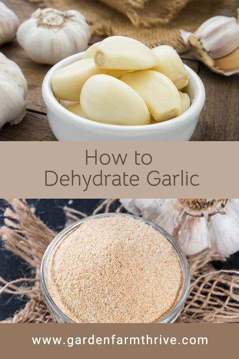 Whether you buy garlic in bulk or grow it in your garden, you can dehydrate your excess cloves for future use. Learn the benefits of Garlic. Learn how to preserve garlic by dehydrating it. How To Dehydrate Onions In Dehydrator, How To Dehydrate Garlic, Dehydrate Garlic Cloves, Dehydrating Garlic In Dehydrator, Dehydrated Garlic Cloves, How To Preserve Garlic In Oil, How To Preserve Garlic Cloves, Preserving Garlic Cloves, Garlic Preservation