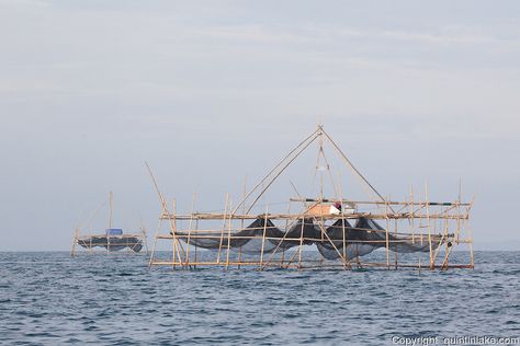 Fishing Architecture, Fish Inspired Architecture, Fish Architecture Concept, Fish Structure, Fisherman Architecture, Net Architecture, Sandakan, Seattle Waterfront, Fish Net