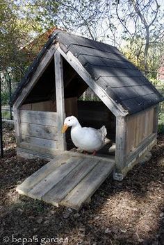 37 Free DIY Duck House / Coop Plans & Ideas that You Can Easily Build Diy Duck House, Duck House Diy, Duck Enclosure, Duck House Plans, Duck Pens, Goose House, Ormanlık Alan, Backyard Ducks, Duck Coop