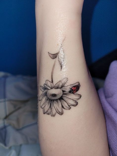 Ladybug Dragonfly Tattoo, Flower Tattoo With Ladybug, Ladybug Tattoo Flower, Ladybug Sunflower Tattoo, Ladybug With Flower Tattoo, Flower And Ladybug Tattoo, Sunflower And Ladybug Tattoo, Ladybug And Flower Tattoo, Ladybug On Flower Tattoo