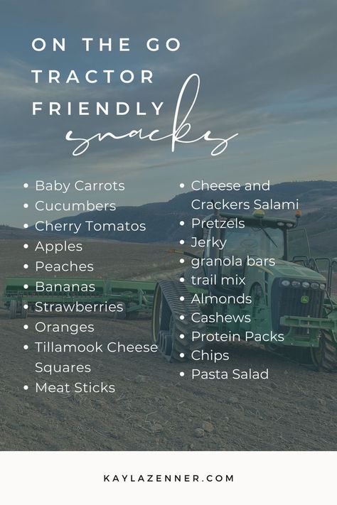 Lunch For Farmers, Farmer Meals To Go, Field Meals For Farmers, Apple Granola Bars, Field Meals, Tillamook Cheese, Meat Stick, Quick Healthy Lunch, Strawberry Almond