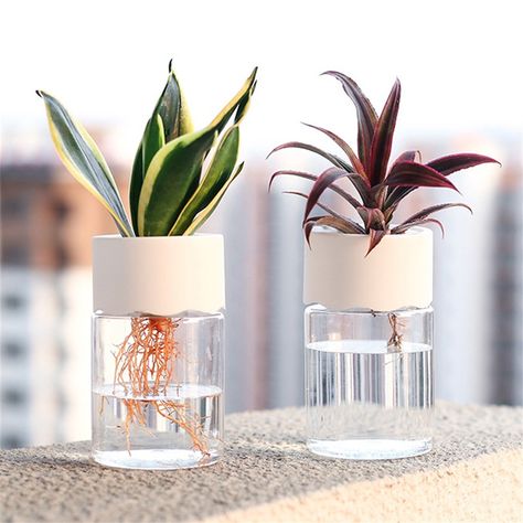 3d Printing Plant Pots, Self Watering Plants, Vase Transparent, Plastic Vase, Planting Pot, Hydroponic Plants, Ceramic Inspiration, Flower Nursery, Plant Ideas