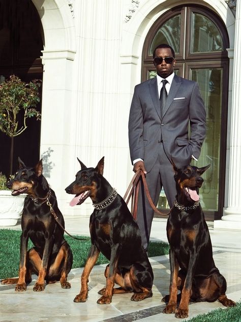 Biggest Dog, A Man In A Suit, Doberman Love, Man In A Suit, Doberman Pinscher Dog, Boy Bye, Doberman Dogs, Poses References, Doberman Pinscher