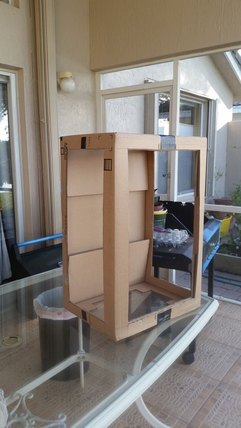 DIY Butterfly Habitat out of Amazon Prime Box Pic B 08FEB18 Diy Butterfly Habitat, Diy Butterfly House, Butterfly Breeding, Butterfly Information, Bug Garden, Butterflies Classroom, Stick Insects, Butterfly Sanctuary, Raising Butterflies