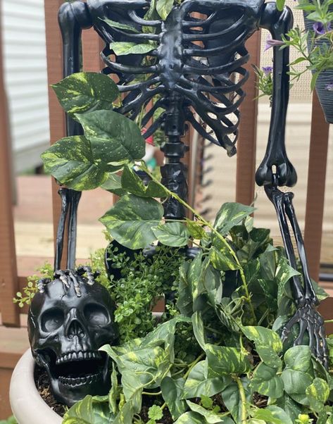 Skeleton And Plants, Spooky Plant, Goth Garden, Dark And Twisty, Goth Home, Goth Home Decor, Pot Plant, Skull Decor, House Plants Decor