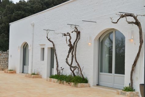 Prezzi quasi dimezzati dopo la crisi. In Valle d'Itria un buon investimento è acquistare abitazioni rurali da trasformare Puglia Masseria, Puglia Villa, Mediterranean Lifestyle, Concrete Houses, Italian House, Property Design, White Building, Mediterranean Home, Traditional Architecture