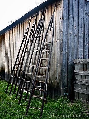 Garden ladder