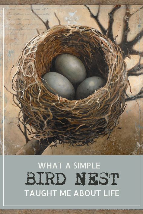 Bird Nests Art, Eggs In A Nest, Bird Nest Painting, Nest Art, Three Bird Nest, Baby Birds, Birds Nest, Painting Subjects, Bird Drawings